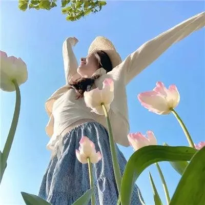 日本国民喜剧《寅次郎的故事》系列精选：流浪推销员的爆笑回乡之旅，昭和时代的温情记忆