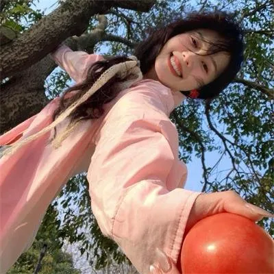 【校园大逃杀】《金字塔游戏》全集未删减：财阀高中的残酷等级投票，转学生硬刚反霸凌